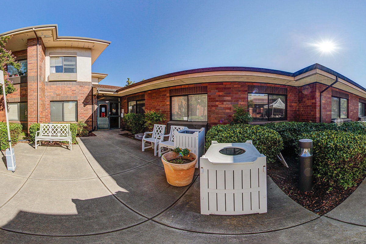Courtyard outside with bench and chairs amongst greenery