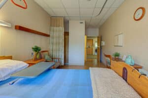 Single occupancy room with blue bedding, and plant on bedside table.