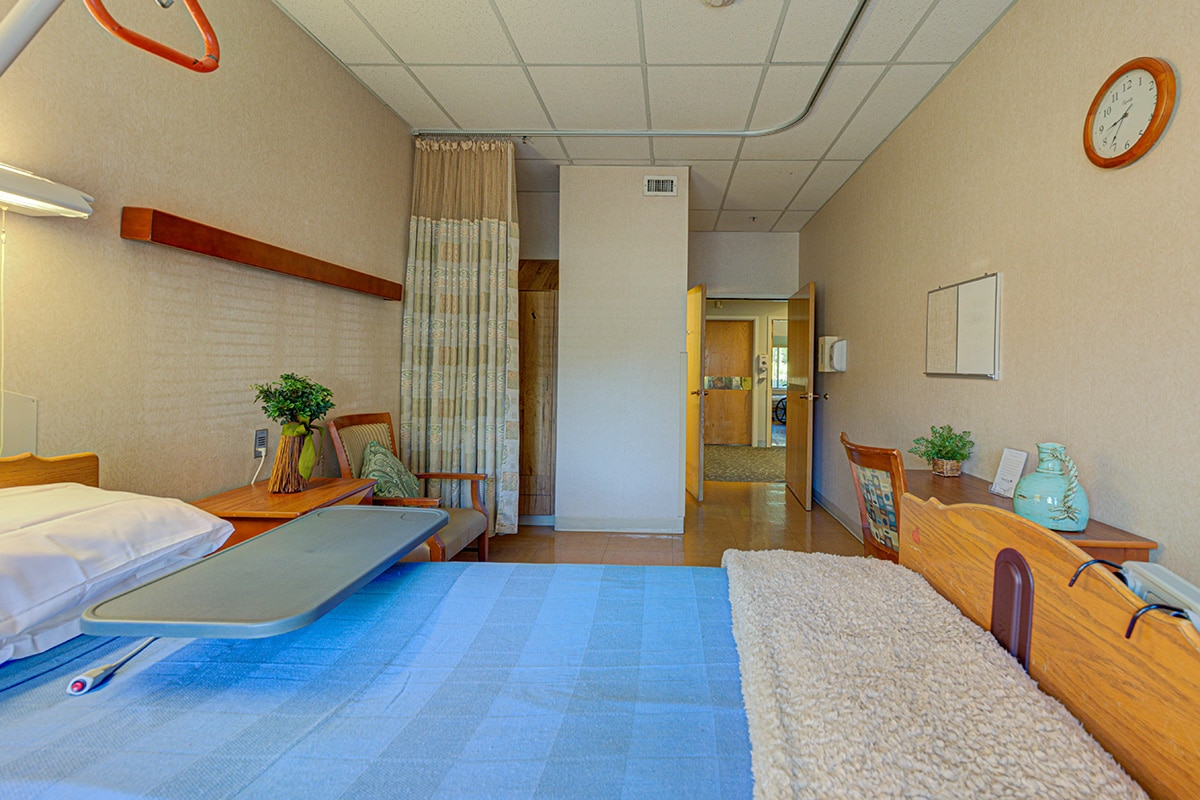 Single occupancy room with blue bedding, and plant on bedside table.