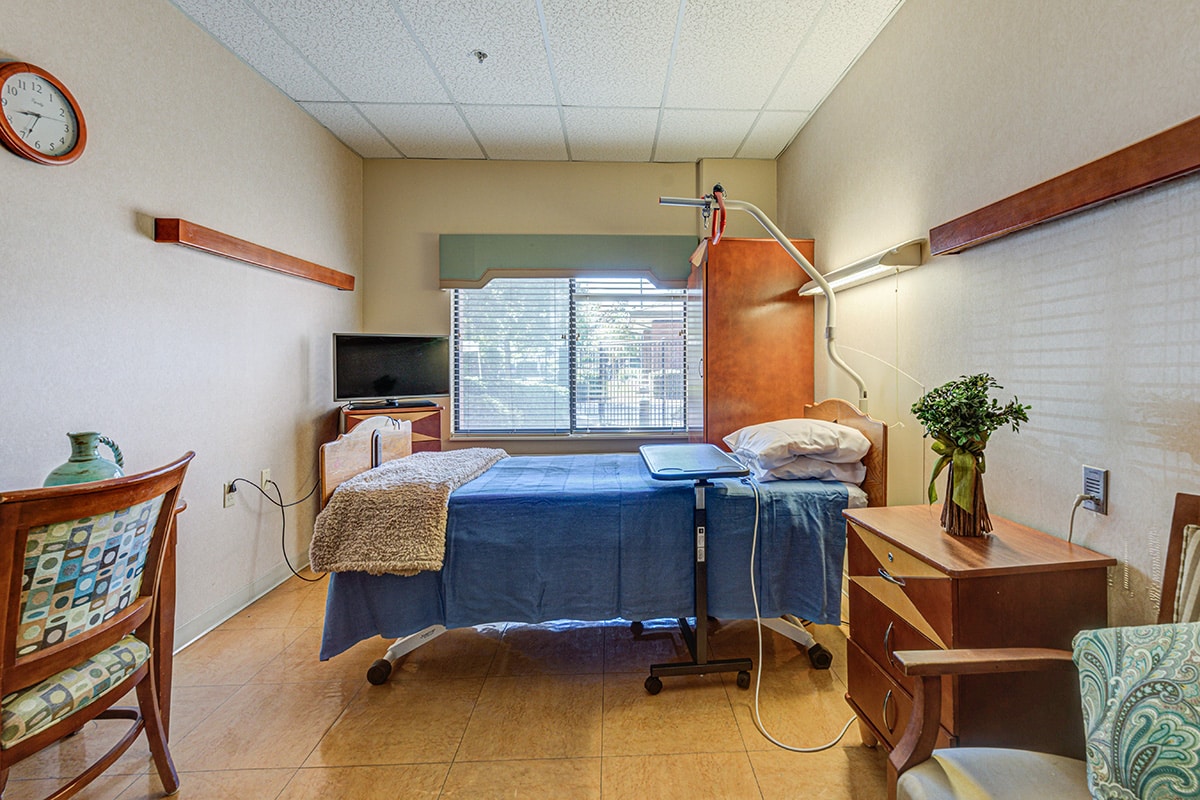 Single occupancy room with blue bedding, TV, and plant on bedside table facing a large window.