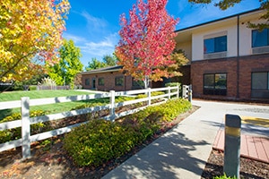 Courtyard outside with bench and chairs amongst fall red, yellow, and greenery